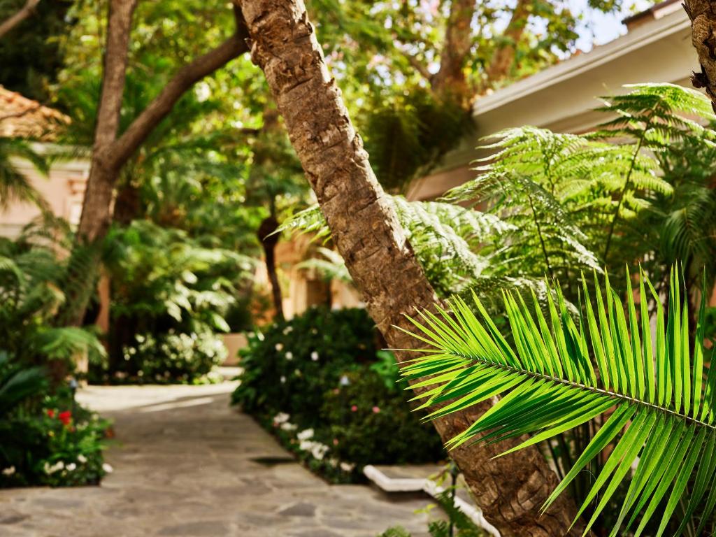 Book Hotel Bel Air Dorchester Collection